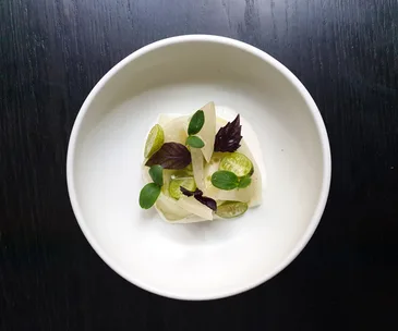 Bentley's apple cucumber, green kohl rabi, walnut and camel's milk curd