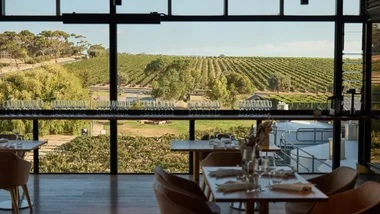 Vineyard views at Maxwell Restaurant South Australia