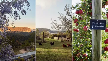 The Machinery Shed is a romantic getaway in Blue Mountains